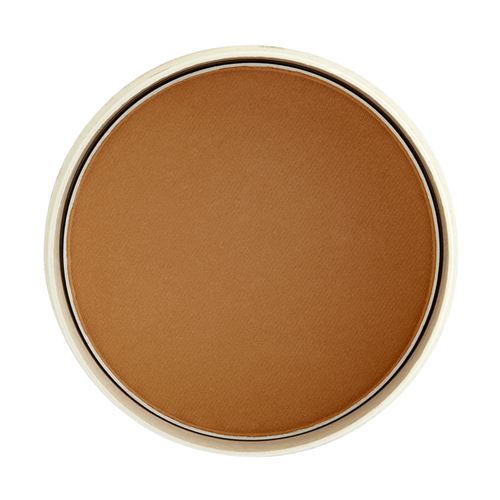 샤인블라썸 블러셔 5호 쉐이딩 블라썸